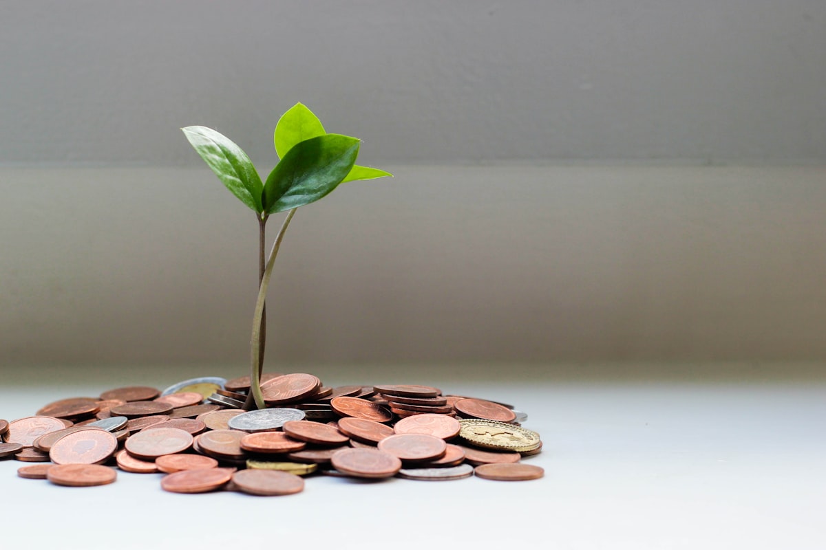 Exchange Fund Interest: Who Earns It and Who Decides