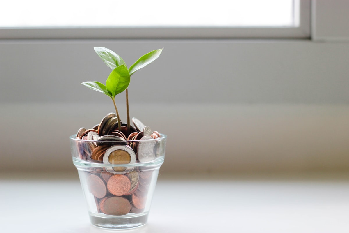 QI Fund Custody: The Mechanics That Keep Exchanges Clean